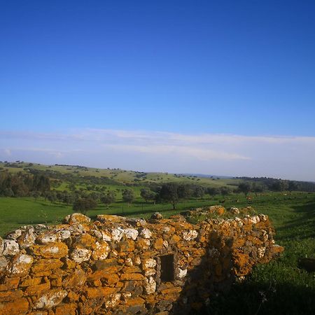 Refugio D' Aldeia Daire Reguengos de Monsaraz Oda fotoğraf