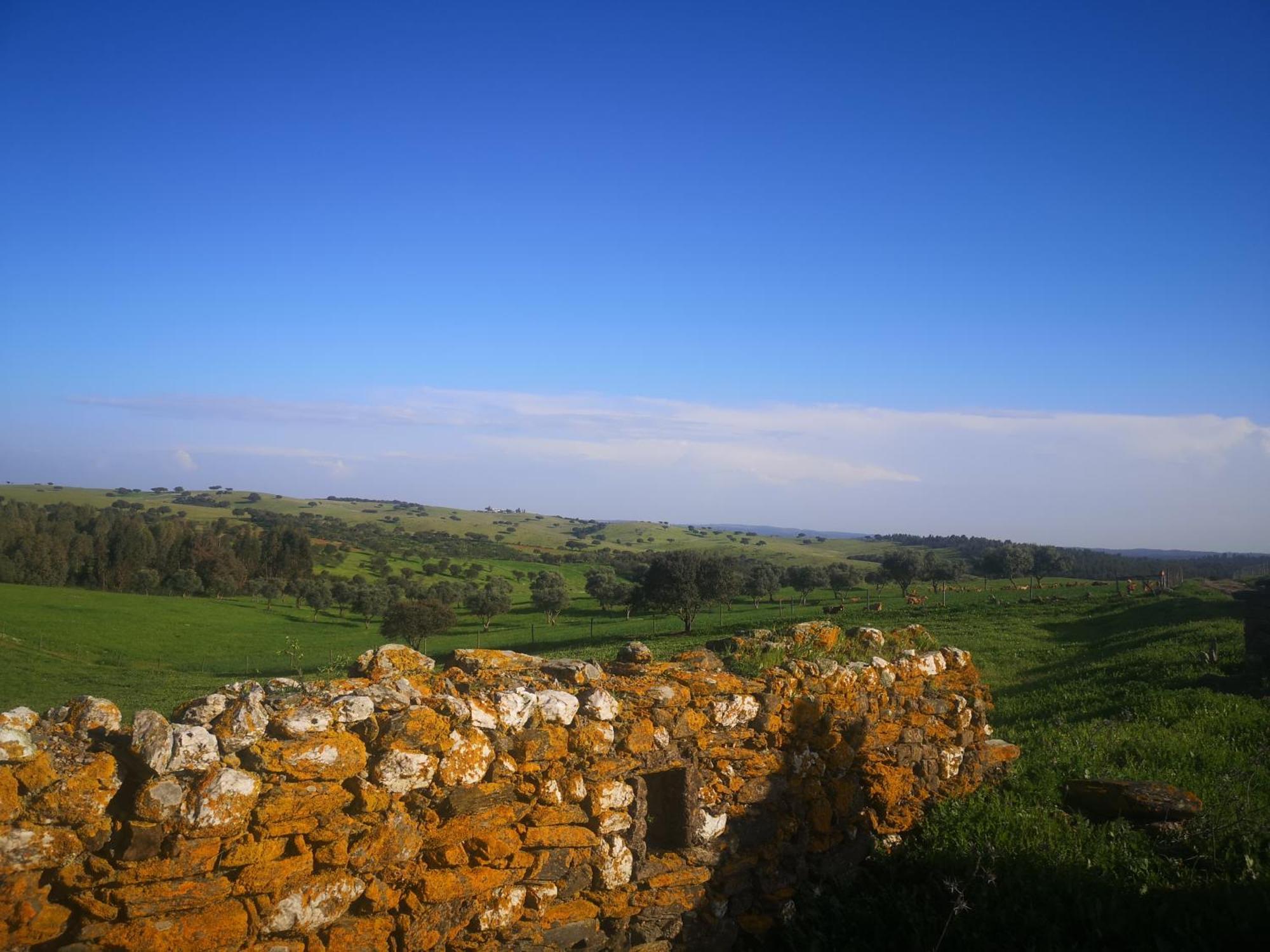 Refugio D' Aldeia Daire Reguengos de Monsaraz Oda fotoğraf